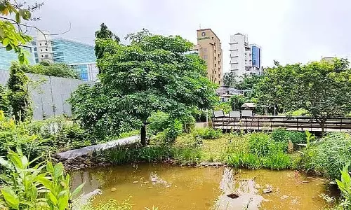 Mumbai : बीएमसी ने 51,500 नए पौधों के साथ मरोल शहरी वन के लिए ₹21 करोड़ के विस्तार की योजना बनाई