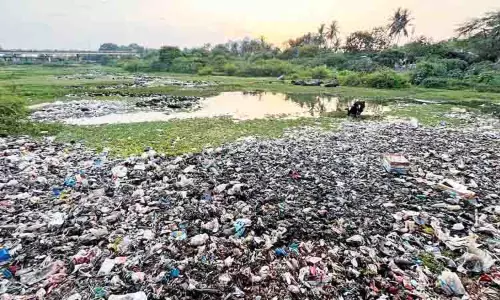 Tiruvallur रेलवे स्टेशन के पास निवासियों और फेरीवालों ने कूम नदी को प्रदूषित किया Tiruvallur रेलवे स्टेशन के पास निवासियों और फेरीवालों ने कूम नदी को प्रदूषित किया