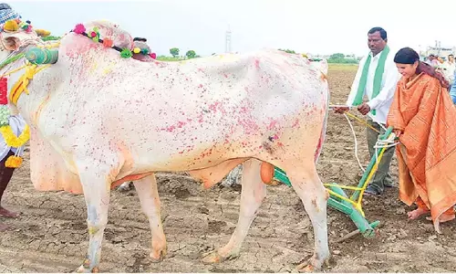 किसानों को पैदावार बढ़ाने पर ध्यान देने को कहा गया किसानों को पैदावार बढ़ाने पर ध्यान देने को कहा गया