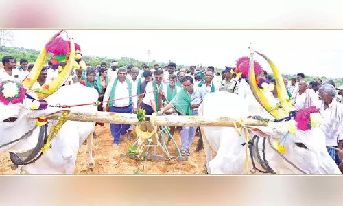Anantapur जिले में कृषि सत्र शुरू Anantapur जिले में कृषि सत्र शुरू