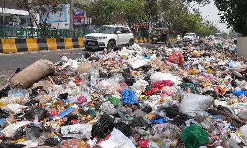 जालंधर में MC लगाएगी स्टेटिक वेस्ट कॉम्पैक्टर जालंधर में MC लगाएगी स्टेटिक वेस्ट कॉम्पैक्टर