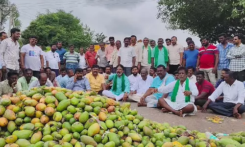 आमों के समर्थन मूल्य की मांग; DC ने सुनी गुहार