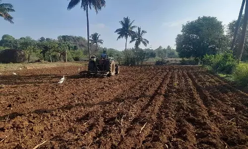 Bangarpet : कृषि गतिविधि जोरों पर