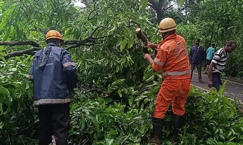 Sanguem में सड़क पर आम का पेड़ गिरा, कर्चोरेम फायर ब्रिगेड ने रास्ता साफ किया Sanguem में सड़क पर आम का पेड़ गिरा, कर्चोरेम फायर ब्रिगेड ने रास्ता साफ किया