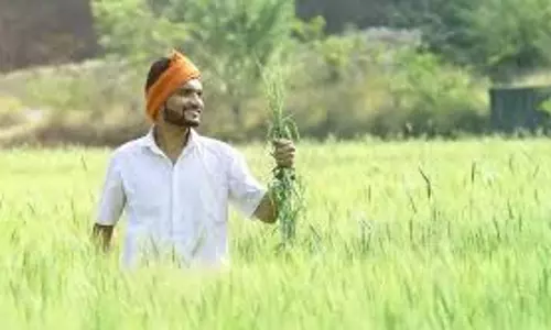 Lucknow: योगी सरकार का किसान हितैषी फैसला, दुर्घटना में सहायता देगी नई योजना