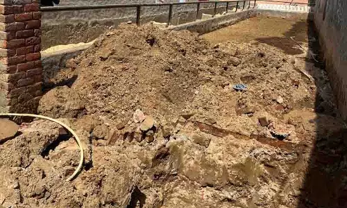 Ludhiana: तूफान से गौशालाओं को नुकसान, सहायता मांगी गई