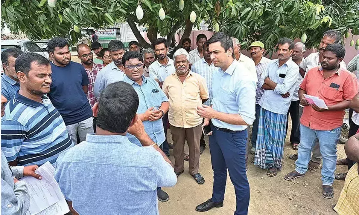 तोतापुरी आम किसानों के लिए MSP सुनिश्चित करें, कलेक्टर ने पल्प इकाइयों को निर्देश दिया तोतापुरी आम किसानों के लिए MSP सुनिश्चित करें, कलेक्टर ने पल्प इकाइयों को निर्देश दिया