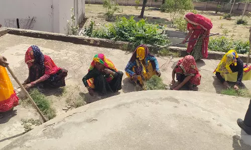 Churu: वंदे गंगा - जल संरक्षण जन अभियान अंतर्गत जिलेभर में आयोजित हुई विभिन्न गतिविधियां