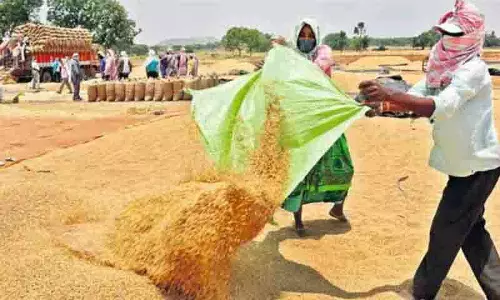 अच्छी बारिश के बावजूद यूरिया की कमी से Telangana की खरीफ की संभावनाओं पर असर अच्छी बारिश के बावजूद यूरिया की कमी से Telangana की खरीफ की संभावनाओं पर असर