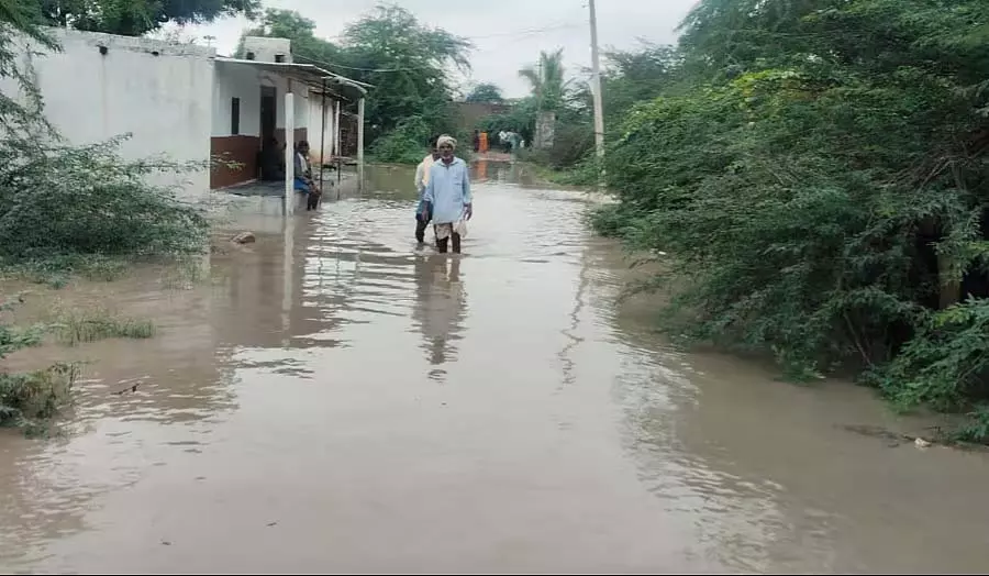 बेनिहल्ला बाढ़: सात गांवों के ग्रामीण चिंतित बेनिहल्ला बाढ़: सात गांवों के ग्रामीण चिंतित