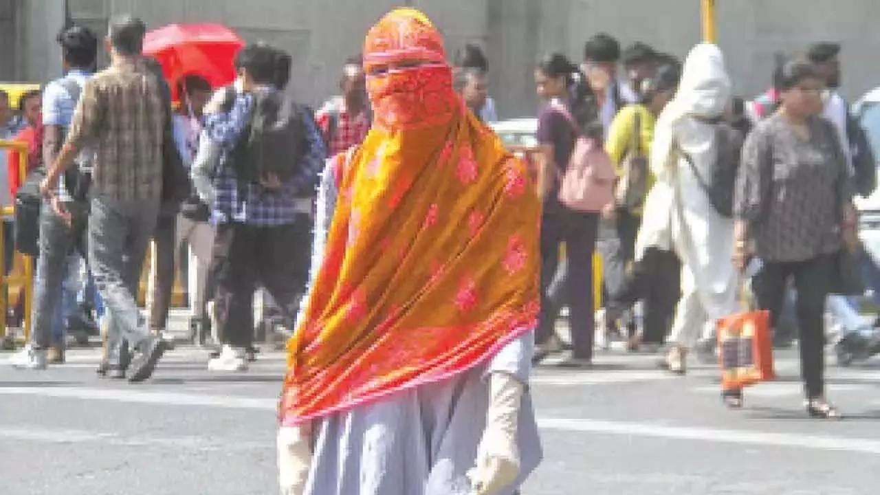 दिल्ली-एनसीआर में भीषण गर्मी के कारण लोग हैं परेशान दिल्ली-एनसीआर में भीषण गर्मी के कारण लोग हैं परेशान