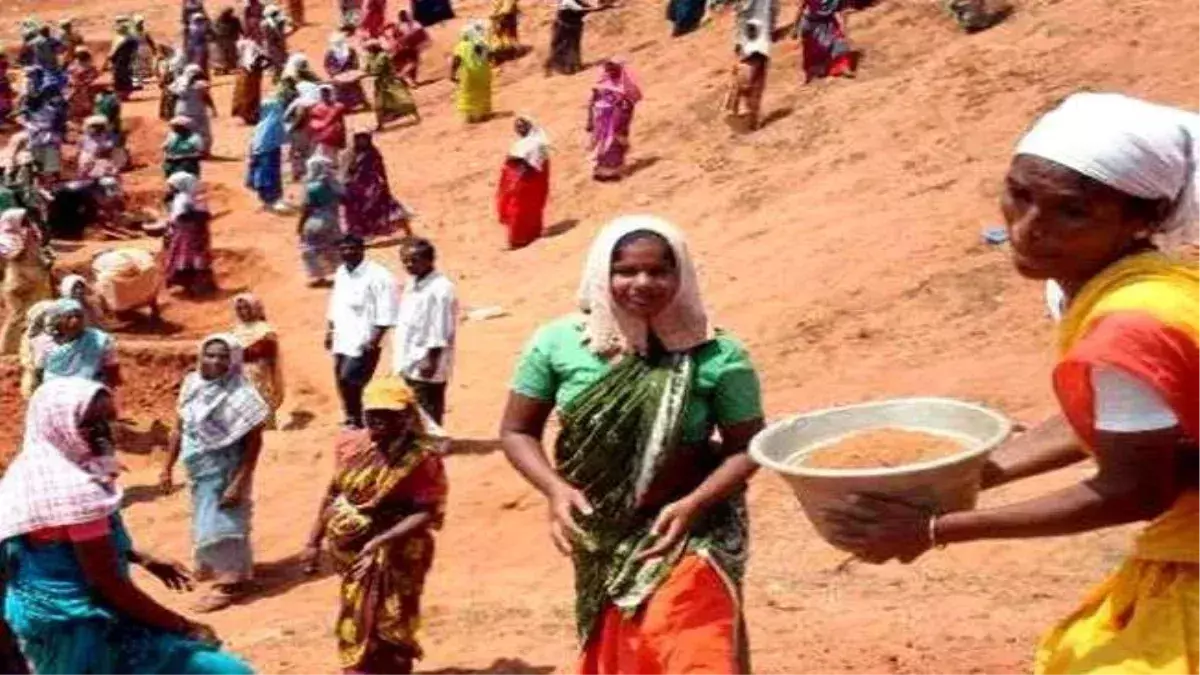 Kamalganj: मनरेगा कार्य में लापरवाही पर बीस रोजगार सेवको के मानदेय पर रोक Kamalganj: मनरेगा कार्य में लापरवाही पर बीस रोजगार सेवको के मानदेय पर रोक