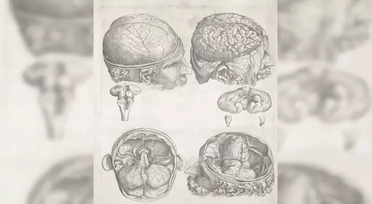Study से पता चला है कि 8 मानसिक स्वास्थ्य विकार एक ही आनुवंशिक जड़ से उत्पन्न हो सकते हैं Study से पता चला है कि 8 मानसिक स्वास्थ्य विकार एक ही आनुवंशिक जड़ से उत्पन्न हो सकते हैं