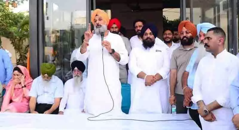 मजीठिया उपचुनाव में SAD की अंतिम कोशिश में शामिल मजीठिया उपचुनाव में SAD की अंतिम कोशिश में शामिल