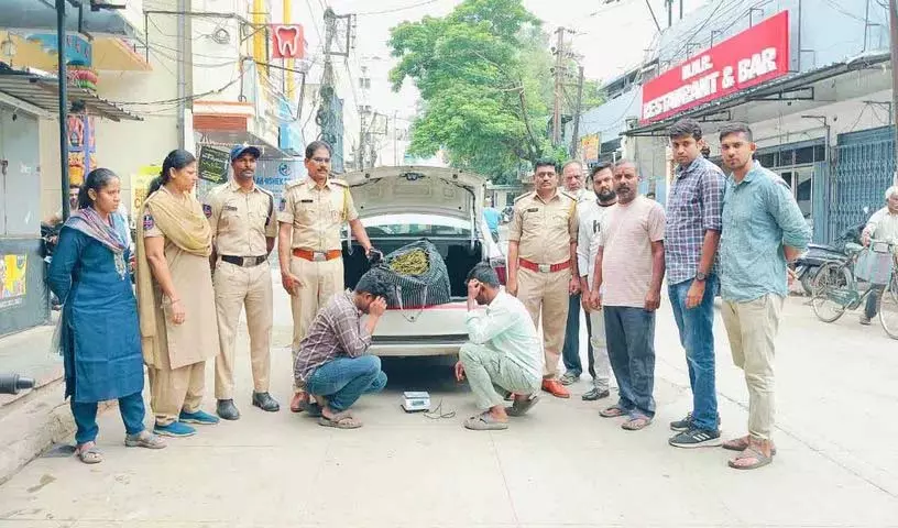 गांजा बेचने के आरोप में दो युवक गिरफ्तार गांजा बेचने के आरोप में दो युवक गिरफ्तार