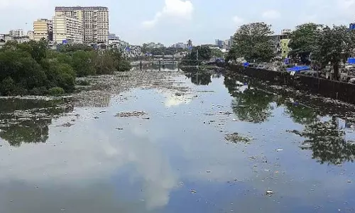 BMC ने देरी के बाद मीठी नदी से गाद निकालने के काम में तेजी लाने के लिए नए ठेकेदारों की नियुक्ति की