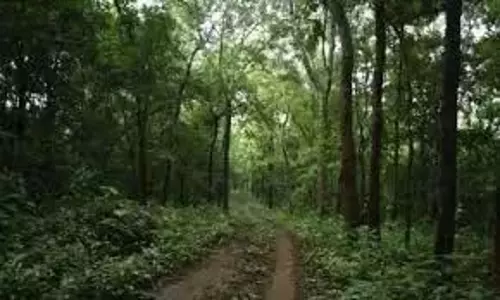 Vayupuri के निवासियों ने हरित क्षेत्र पर अतिक्रमण करने वालों के खिलाफ कार्रवाई की मांग की Vayupuri के निवासियों ने हरित क्षेत्र पर अतिक्रमण करने वालों के खिलाफ कार्रवाई की मांग की