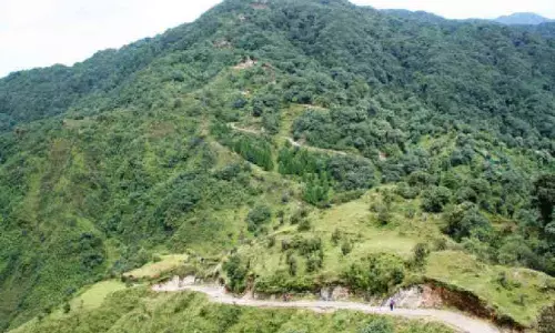 Bengal: तीन महीने तक जंगल में पर्यटकों का प्रवेश वर्जित