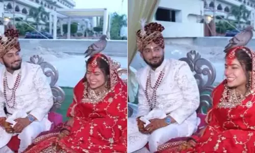 शादी के मंडप में बैठी दुल्हन के सिर पर आकर बैठा कबूतर, जमकर वायरल हुआ VIDEO