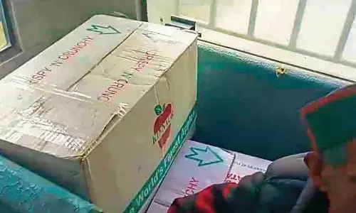 Himachal: अगले वर्ष से सेब की पेटियों का वैज्ञानिक आकलन शुरू किया जाएगा