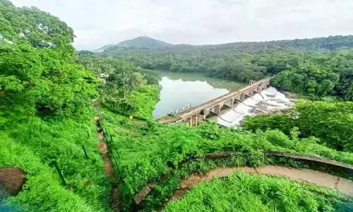Kerala ; ओट्टाक्कल लुकआउट क्षेत्र जंगल से ढका Kerala ; ओट्टाक्कल लुकआउट क्षेत्र जंगल से ढका