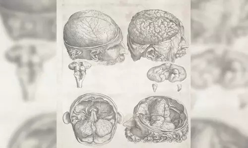 Study से पता चला है कि 8 मानसिक स्वास्थ्य विकार एक ही आनुवंशिक जड़ से उत्पन्न हो सकते हैं Study से पता चला है कि 8 मानसिक स्वास्थ्य विकार एक ही आनुवंशिक जड़ से उत्पन्न हो सकते हैं