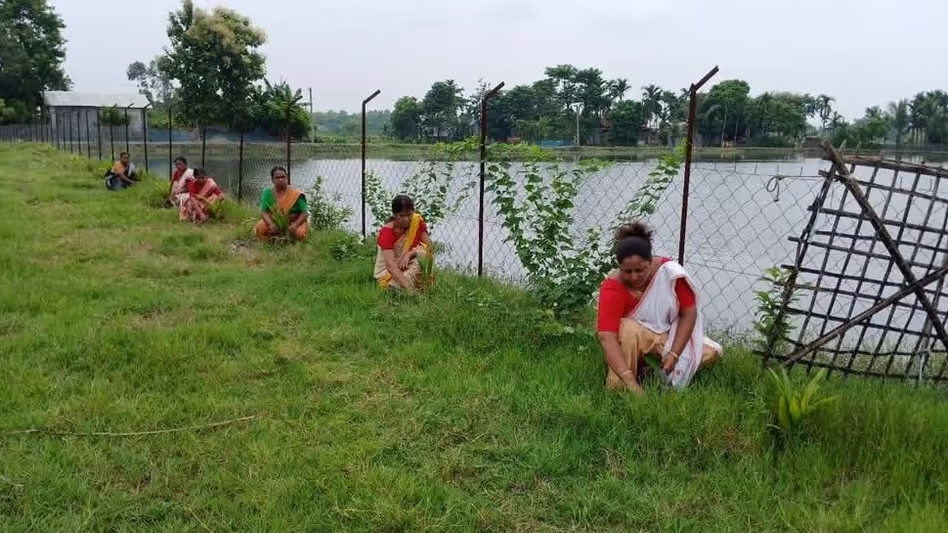 Assam में सबसे आगे, 2023 से अब तक 1.7 मिलियन से अधिक पौधे लगाए जाएंगे Assam में सबसे आगे, 2023 से अब तक 1.7 मिलियन से अधिक पौधे लगाए जाएंगे