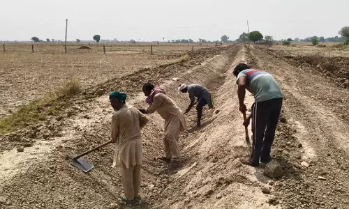 Jaipur: मोरासागर बांध पर जल पूजन, श्रमदान व मरम्मत कार्य से जल संरक्षण का संदेश