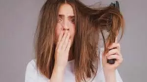 Hair Care: किचन में मौजूद ये 10 चीजें बालों का झड़ना तुरंत रोक सकती हैं, आज ही आजमाएं Hair Care: किचन में मौजूद ये 10 चीजें बालों का झड़ना तुरंत रोक सकती हैं, आज ही आजमाएं