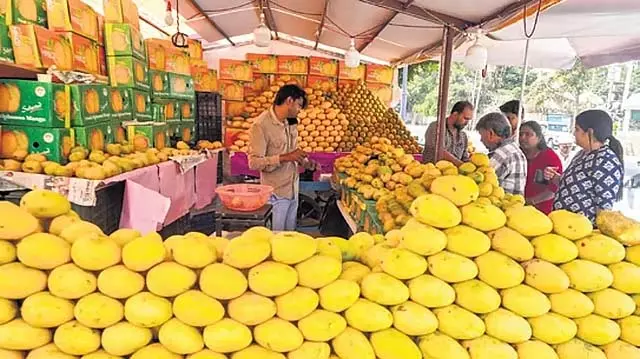 आम जो किसानों के मुंह में मिठास नहीं लाते: फलों की मांग और कीमतों में गिरावट आम जो किसानों के मुंह में मिठास नहीं लाते: फलों की मांग और कीमतों में गिरावट