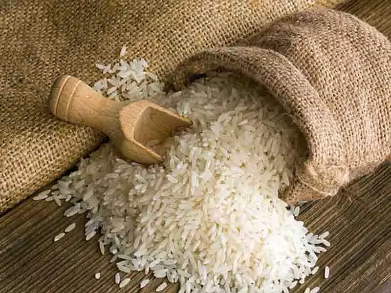 Punjab सरकार ने बासमती फसलों के लिए 11 कीटनाशकों पर प्रतिबंध लगाया Punjab सरकार ने बासमती फसलों के लिए 11 कीटनाशकों पर प्रतिबंध लगाया