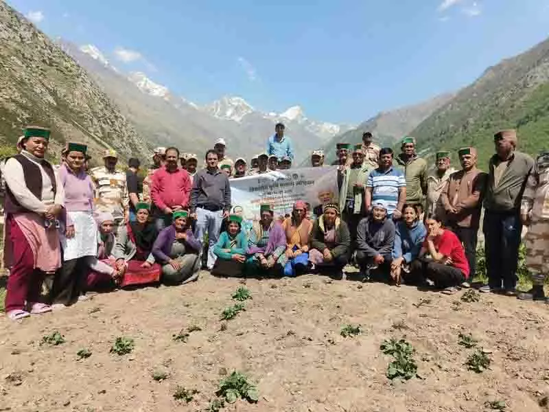 ऊंचाइयों की ओर बढ़ते हुए, Chitkul ने आधुनिक बागवानी को अपनाया ऊंचाइयों की ओर बढ़ते हुए, Chitkul ने आधुनिक बागवानी को अपनाया