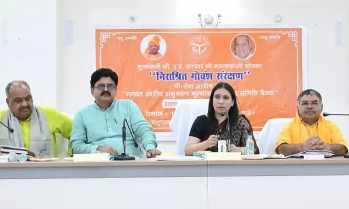 Bareilly: प्राकृतिक खेती को बढ़ावा देने पर जोर, गोशाला में की गई निरीक्षण यात्रा Bareilly: प्राकृतिक खेती को बढ़ावा देने पर जोर, गोशाला में की गई निरीक्षण यात्रा