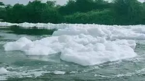 थेनपेनई नदी में जहरीला झाग चिंता का विषय थेनपेनई नदी में जहरीला झाग चिंता का विषय