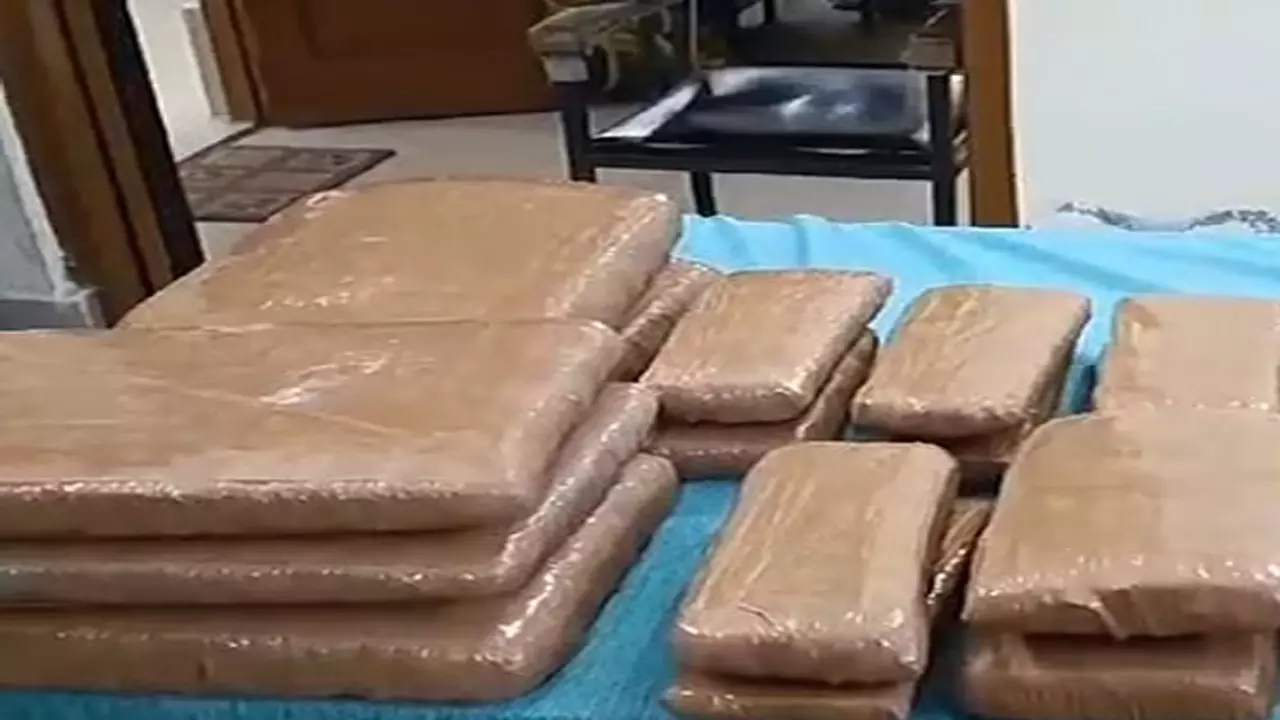 पुलिस कार्रवाई के बावजूद तिरुचि शहर और ग्रामीण इलाकों में गांजा की बिक्री जारी पुलिस कार्रवाई के बावजूद तिरुचि शहर और ग्रामीण इलाकों में गांजा की बिक्री जारी