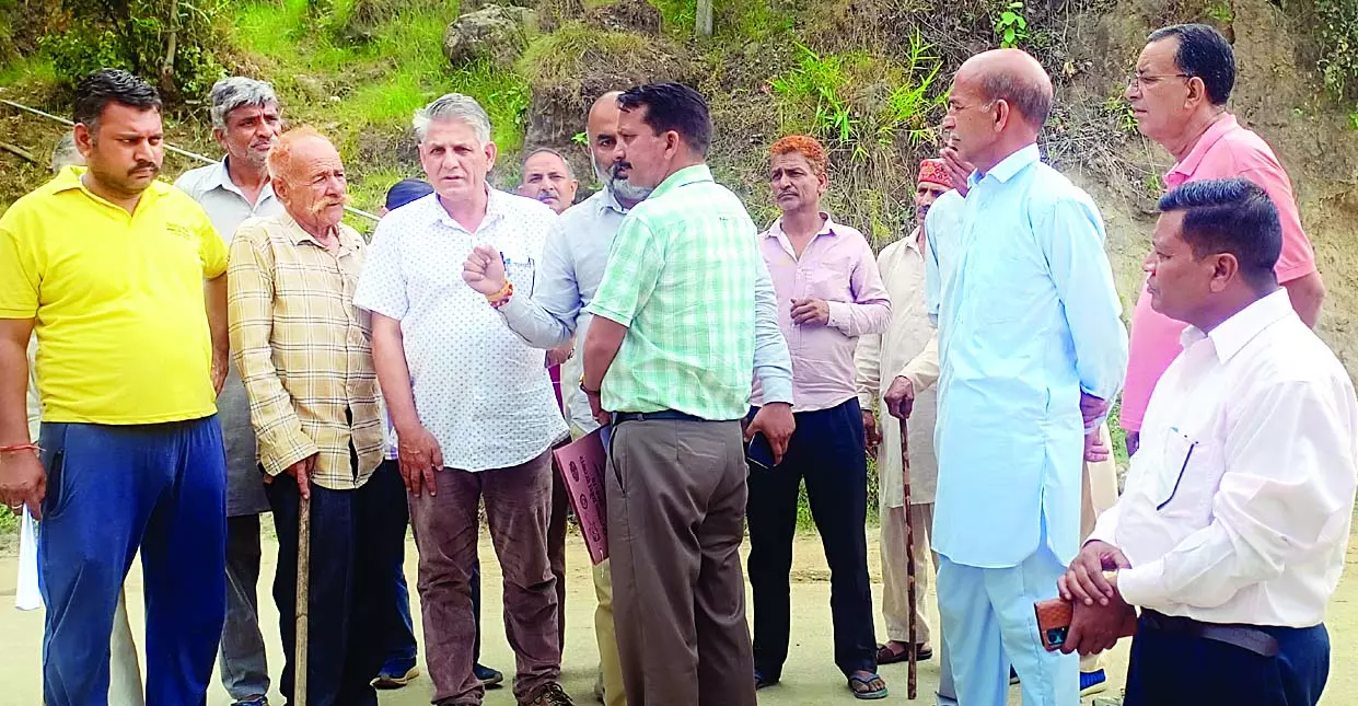 बाजार पहुंचा गोहर का लाल सोना, 800 रुपए तक क्रेट बाजार पहुंचा गोहर का लाल सोना, 800 रुपए तक क्रेट