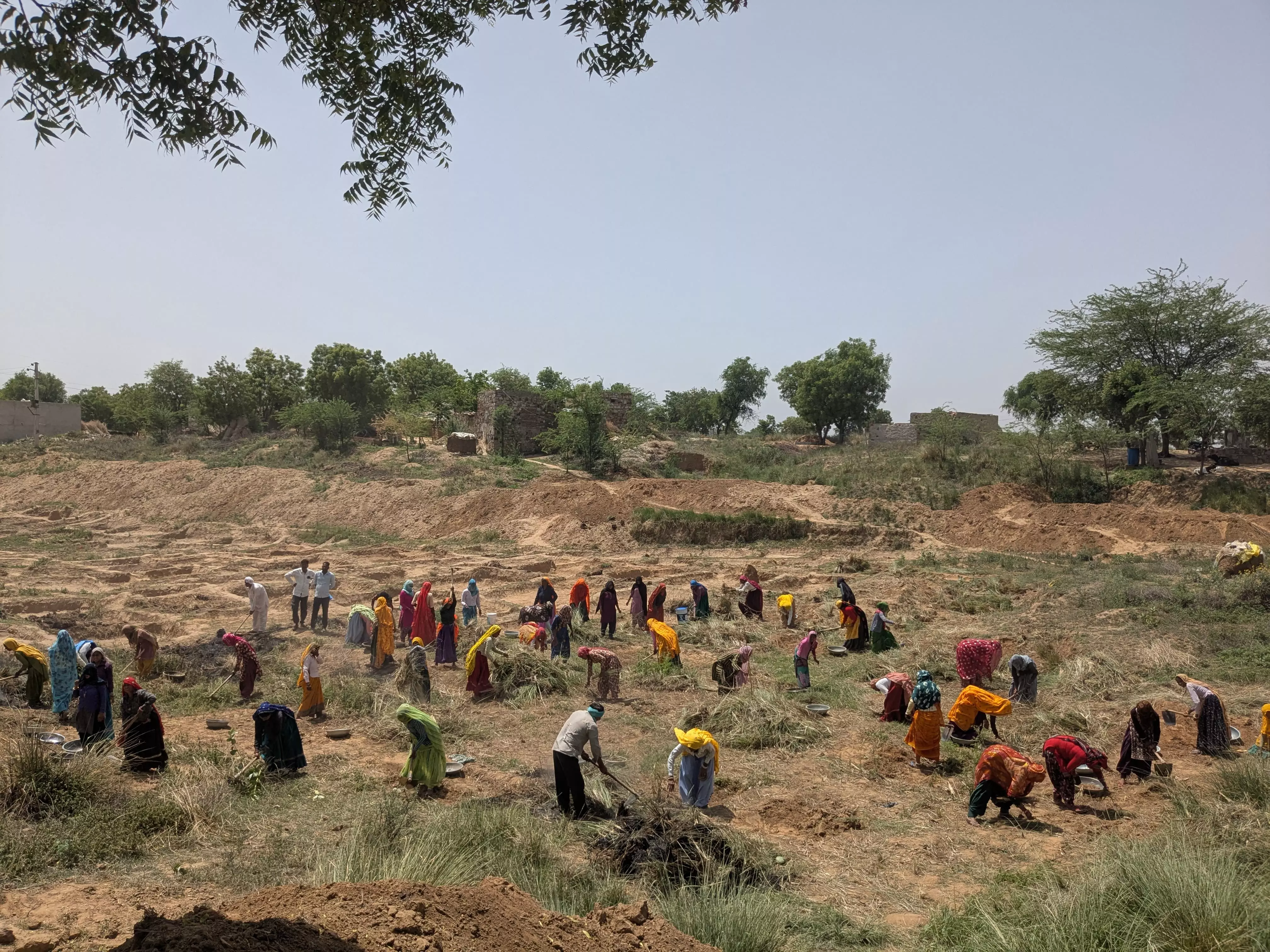 Alwar : जिलेभर में विभिन्न गतिविधियां आयोजित जल संचय स्थलों की साफ-सफाई Alwar : जिलेभर में विभिन्न गतिविधियां आयोजित जल संचय स्थलों की साफ-सफाई