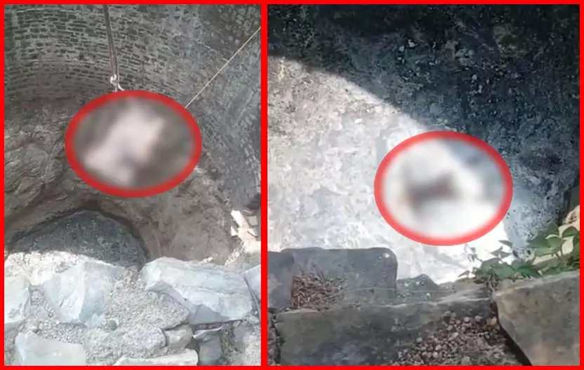 BREAKING: खेत के कुएं में मिली युवक की सड़ी-गली लाश, बदबू से लोग थे परेशान BREAKING: खेत के कुएं में मिली युवक की सड़ी-गली लाश, बदबू से लोग थे परेशान