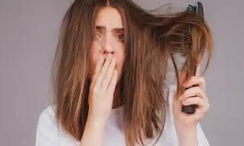 Hair Care: किचन में मौजूद ये 10 चीजें बालों का झड़ना तुरंत रोक सकती हैं, आज ही आजमाएं