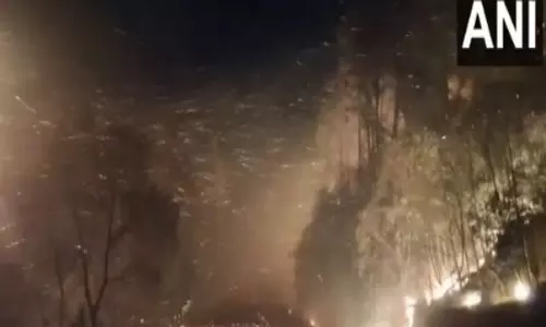 Reasi में NH-144A के पास जंगल में भीषण आग लगी, आग बुझाने के प्रयास जारी