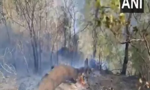 NH-144A के पास जंगल में लगी आग पर काबू पाया गया NH-144A के पास जंगल में लगी आग पर काबू पाया गया