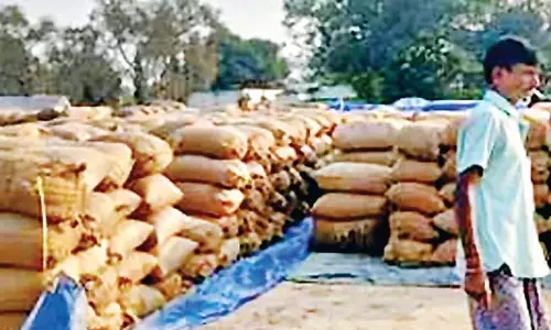 कड़ी मेहनत से काटी गई फसल को बेचने के लिए कठिनाइयों का सामना करना पड़ रहा कड़ी मेहनत से काटी गई फसल को बेचने के लिए कठिनाइयों का सामना करना पड़ रहा