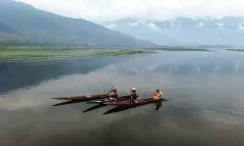 वुलर झील व बारामूला में 5 लाख मछली बीज डाले गए: मत्स्य विभाग