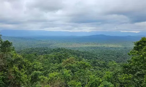 सारंगपानी खनन: अनुमान है कि सत्रह हज़ार पेड़ नष्ट हो सकते हैं सारंगपानी खनन: अनुमान है कि सत्रह हज़ार पेड़ नष्ट हो सकते हैं