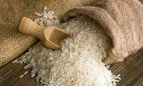Punjab सरकार ने बासमती फसलों के लिए 11 कीटनाशकों पर प्रतिबंध लगाया