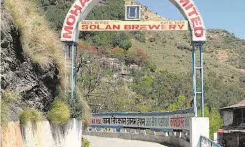 Mohan मीकिन ब्रेवरी 1994 से संपत्ति कर का भुगतान करने में विफल रही