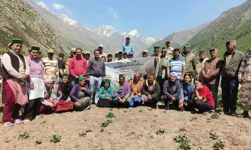 ऊंचाइयों की ओर बढ़ते हुए, Chitkul ने आधुनिक बागवानी को अपनाया
