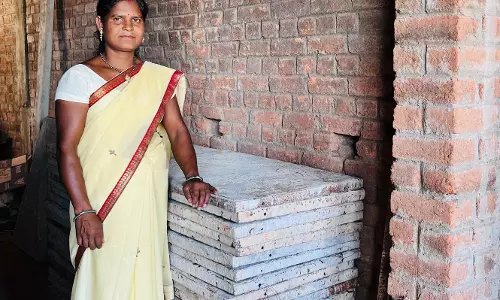 शासन की योजनाओं से सशक्त बनी जशपुर की उद्यमी महिला लालमती