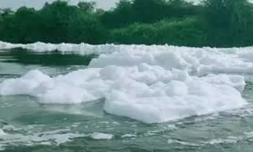 थेनपेनई नदी में जहरीला झाग चिंता का विषय