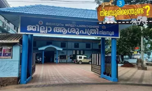 Kerala : पेरुवाजी रोड पर बाज़ार में बस यात्री
